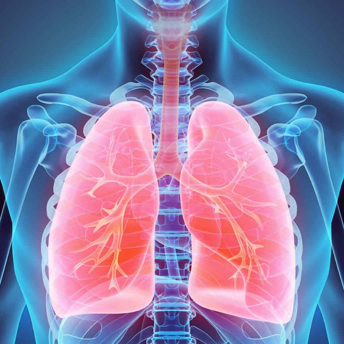 oxygen concentrators