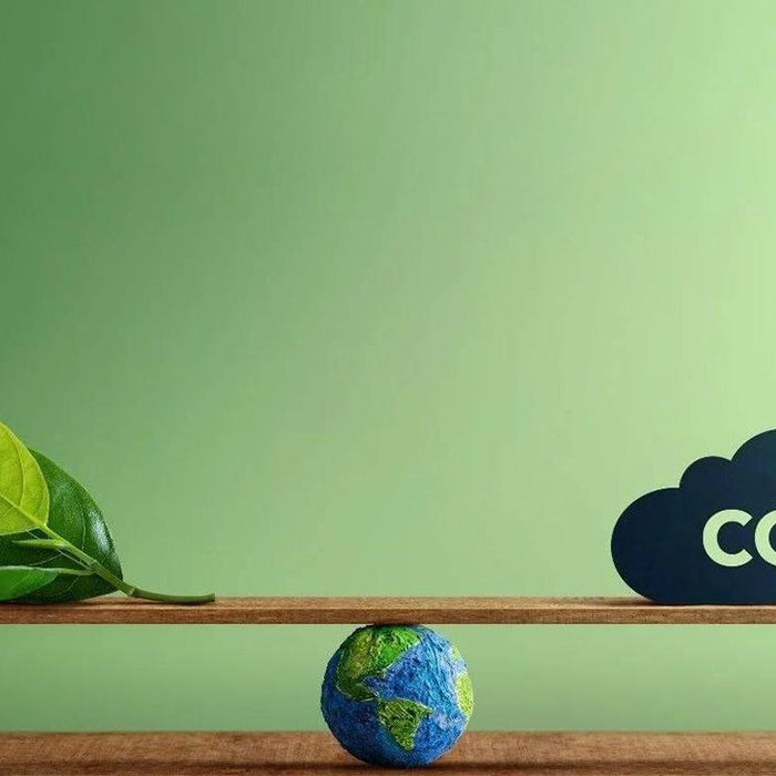 The Environmental Impact of Oxygen Concentrators: Evaluating Sustainability for Home and Portable Use