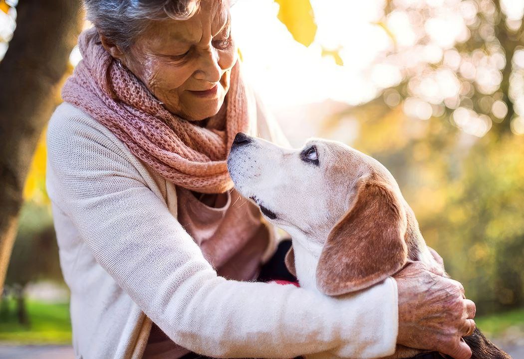 Can you get a pet with COPD?