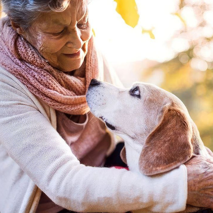 Can you get a pet with COPD?