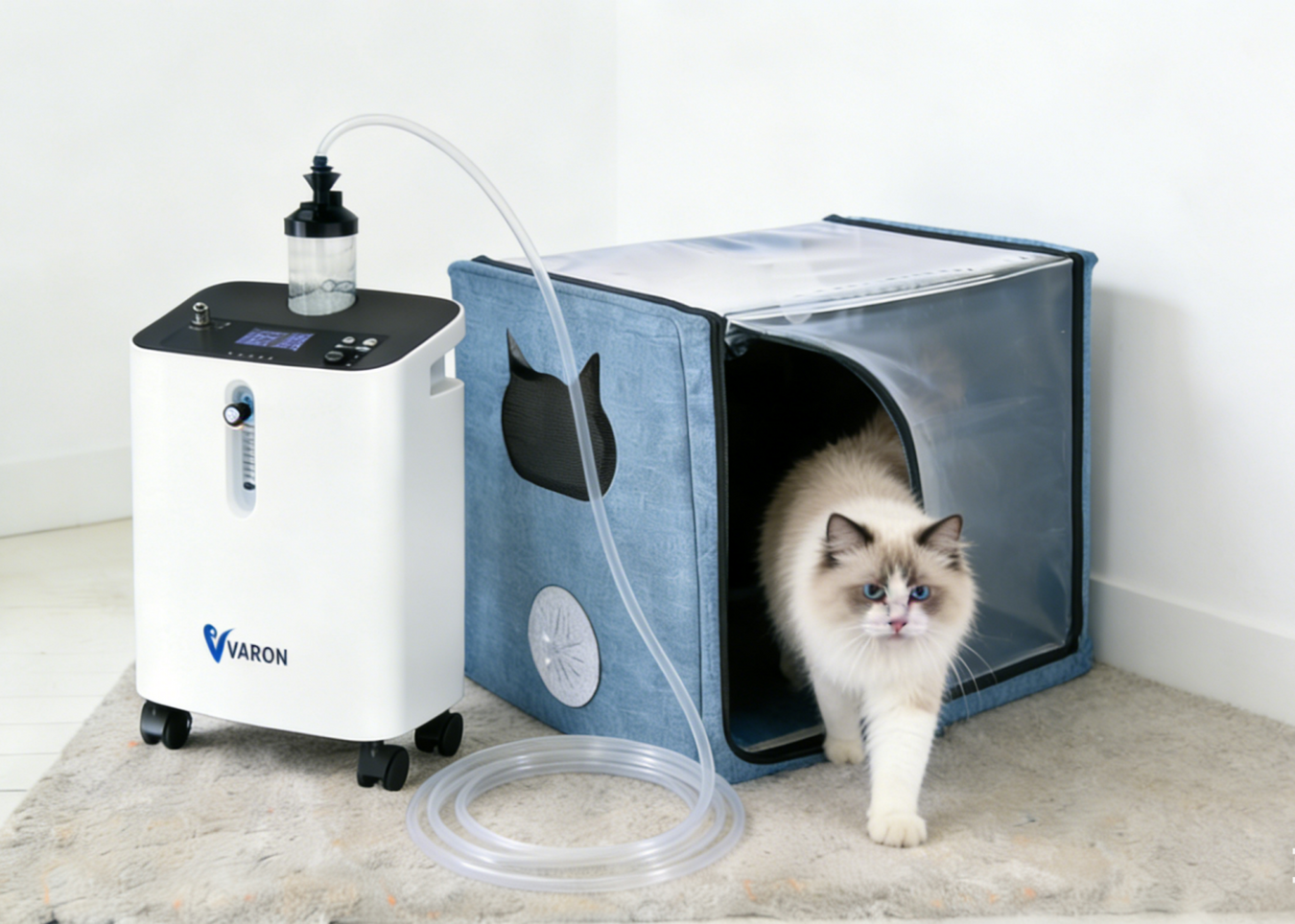 Pet Oxygen Therapy