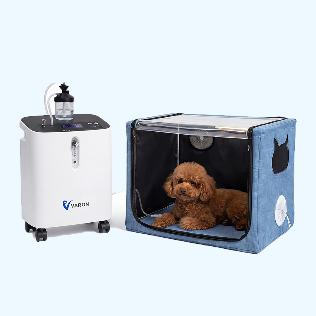 Pet Oxygen Therapy